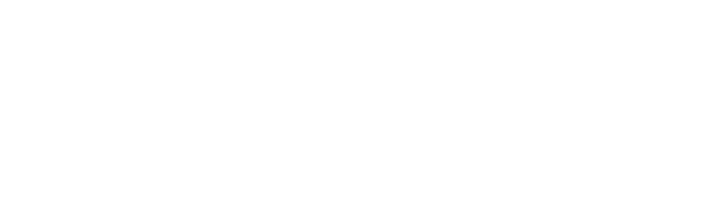 logo checlin