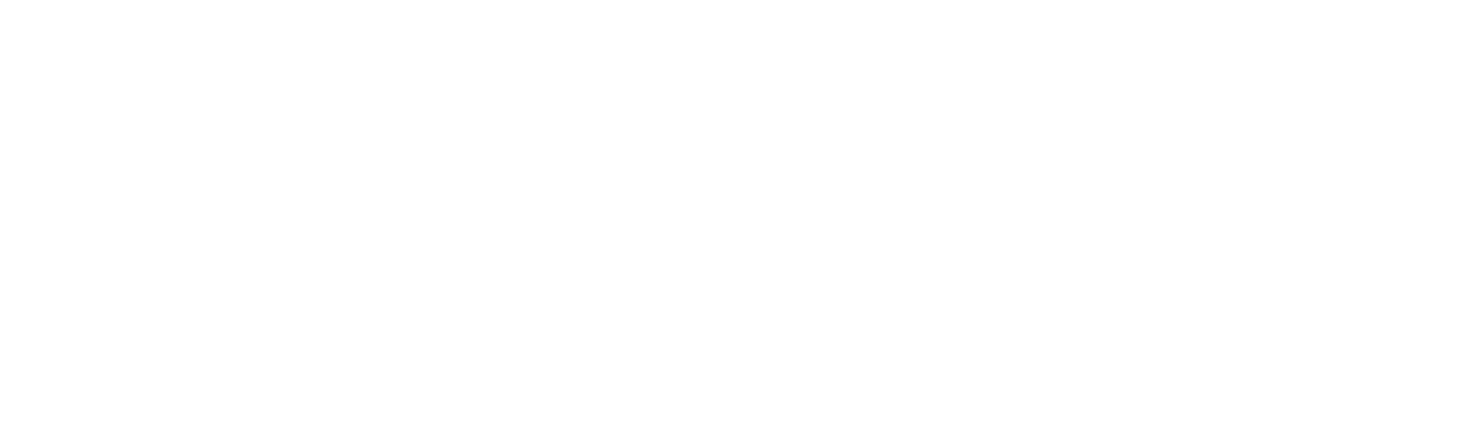 logo checlin